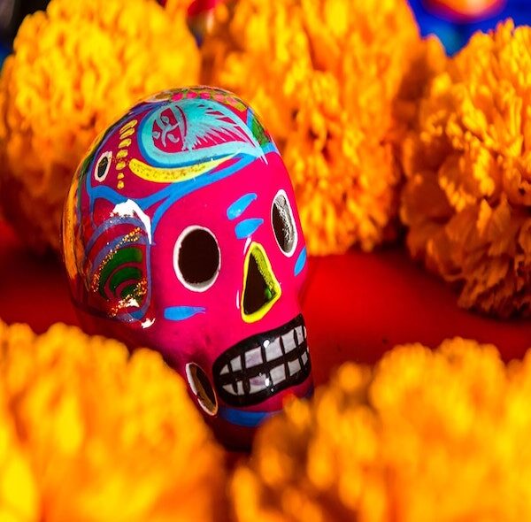 Alumbrada y Día de Muertos Especial