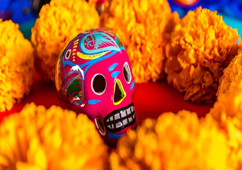 Alumbrada y Día de Muertos Especial