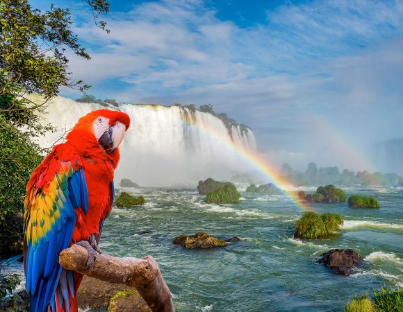 Buenos Aires y Puerto Iguazú