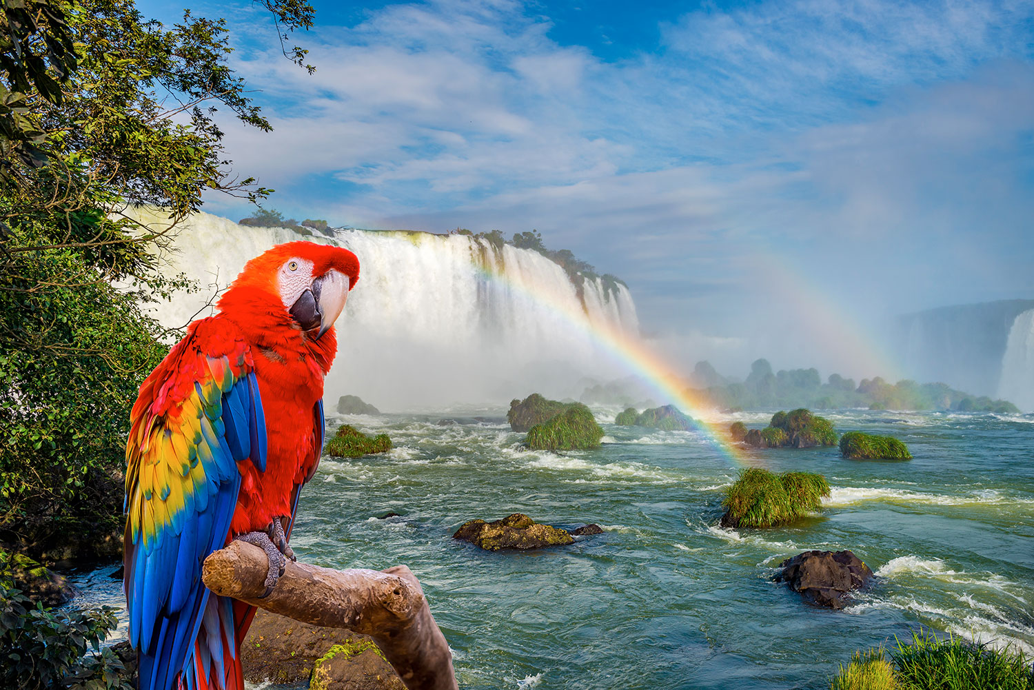 Buenos Aires y Puerto Iguazú