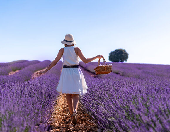 Turismo Rural: Escapadas campestres para reconectar con la Naturaleza