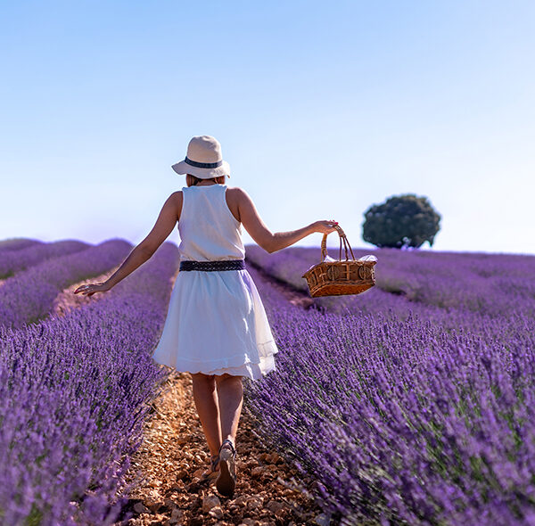 Turismo Rural: Escapadas campestres para reconectar con la Naturaleza