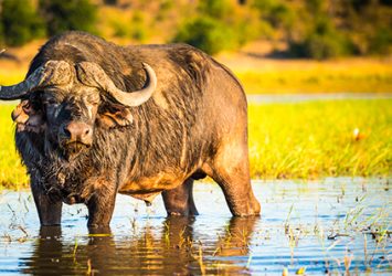 africa-magri-turismo-1