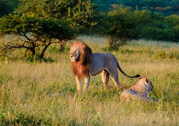 africa-magri-turismo-2