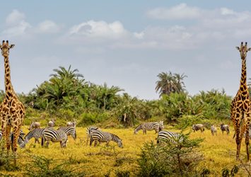 africa-magri-turismo-3