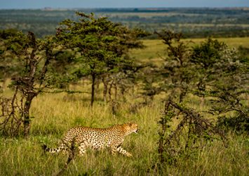 africa-magri-turismo-4