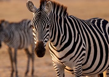 africa-magri-turismo-8