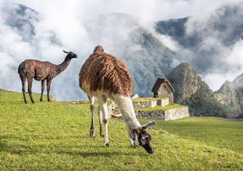 machu-pichu-magri-turismo-3