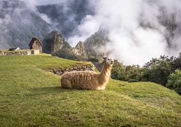 machu-pichu-magri-turismo-4