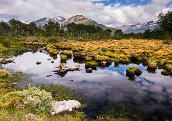 ushuaia-calafate-magri-turismo-1